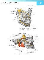 Sobotta Atlas of Human Anatomy  Head,Neck,Upper Limb Volume1 2006, page 108